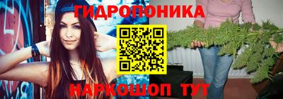 СК Пугачёв